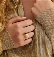 Ringe Nanis Dame Dancing Elite in Gelbgold Diamante 0.12 Ct AS27-583 - AS27-583